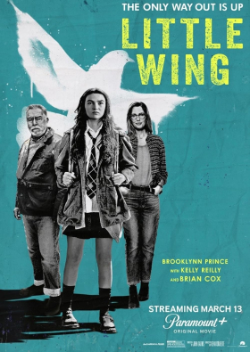 Poster Little Wing