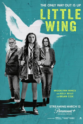 Poster Little Wing