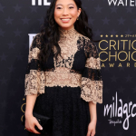 Profil Awkwafina