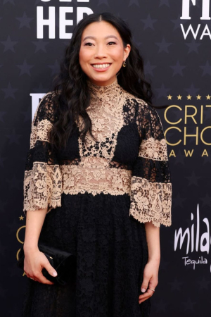 Profil Awkwafina